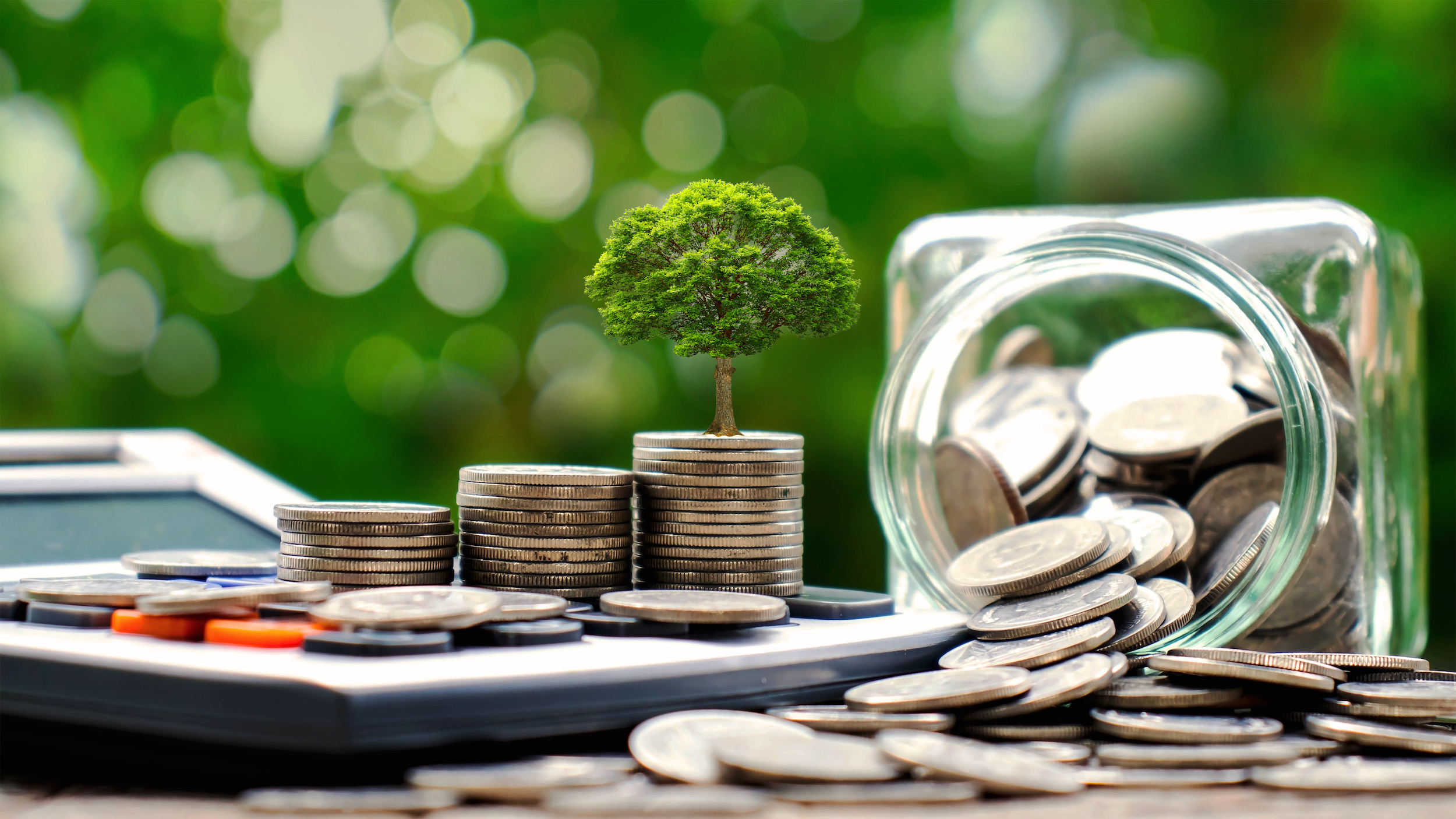 stacked coins with tree growing out of the top