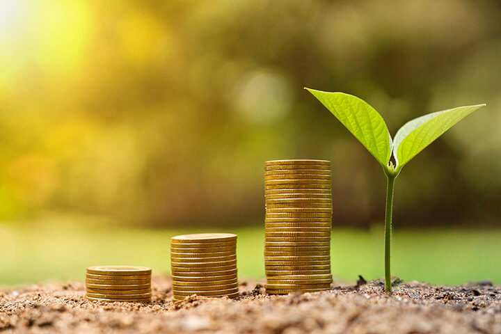 esg investing environment, stacked coins in nature