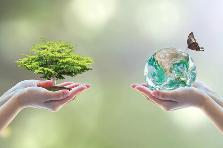 Core ESG Investing, nature scene hands holding a tree and the earth